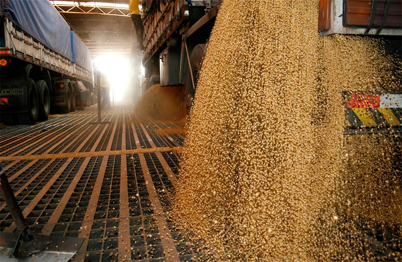 Movimento da soja no Porto de Paranaguá deve crescer 76%