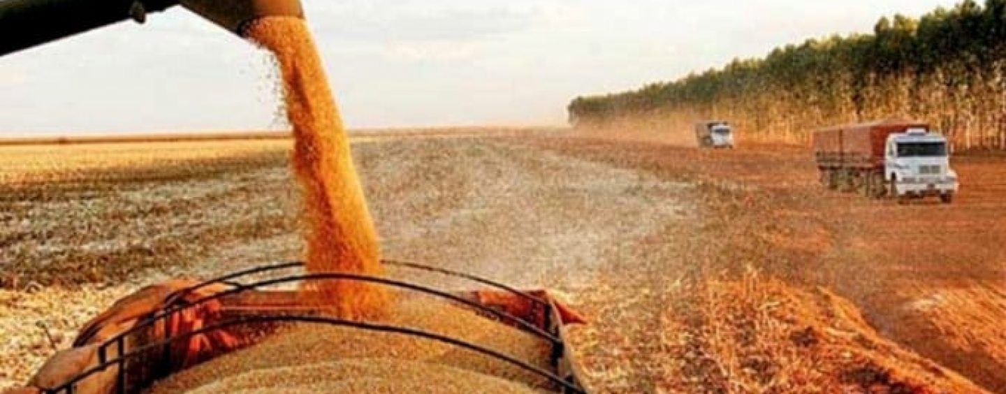 Questões logísticas fazem custo para  enviar grãos para a China ser o dobro para brasileiros