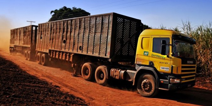  Ouro Verde oferece 30 vagas para motoristas canavieiros