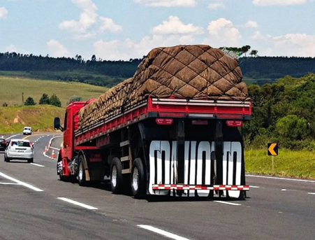 Caminhao Scania Arqueado