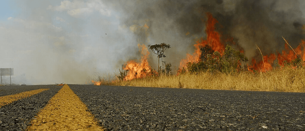 DER-SP cria sistema inédito para monitorar e prevenir incêndios nas rodovias