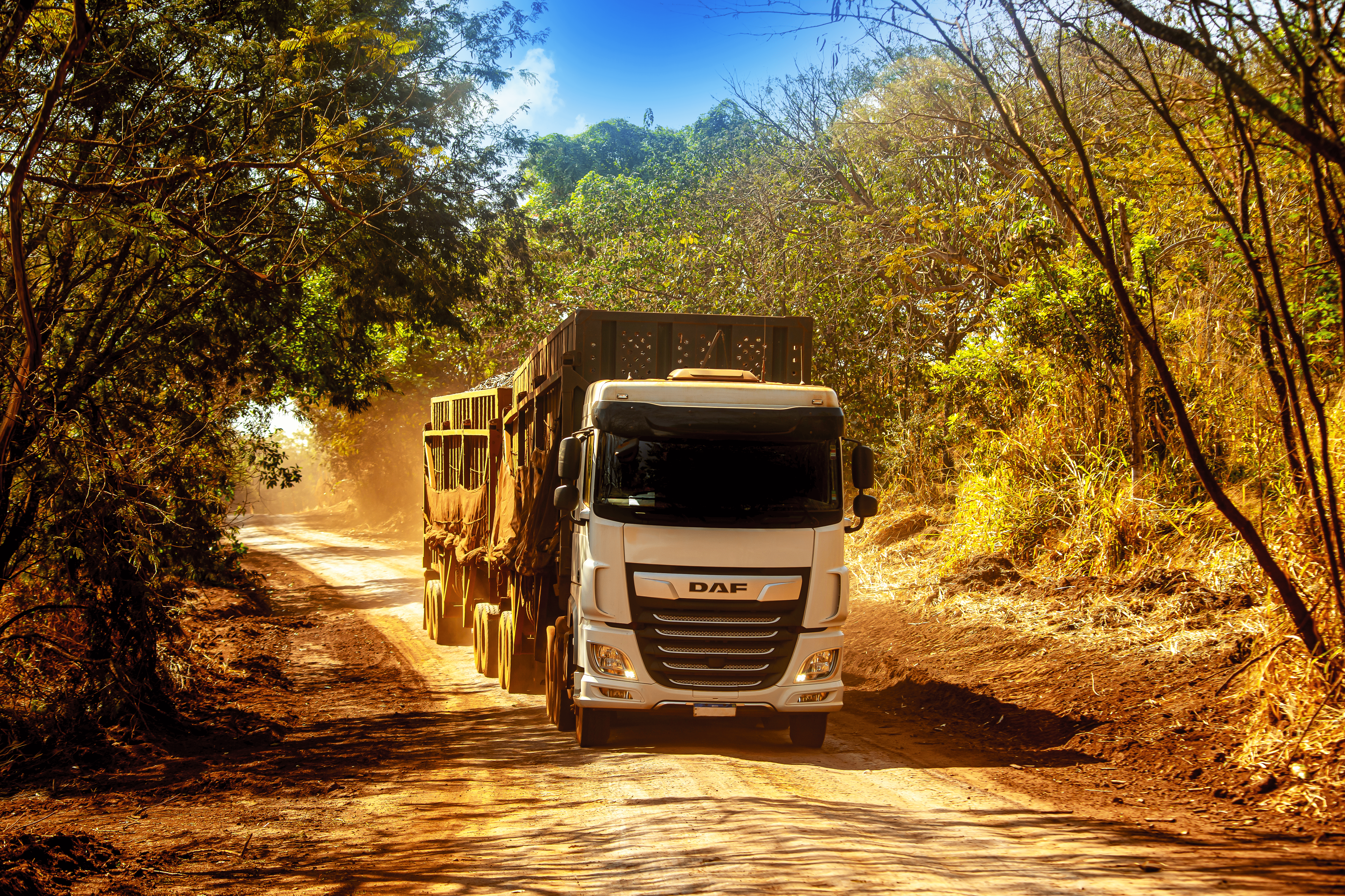 DAF XF ganha espaço no Brasil e se consolida entre os caminhões pesados mais presentes nas estradas