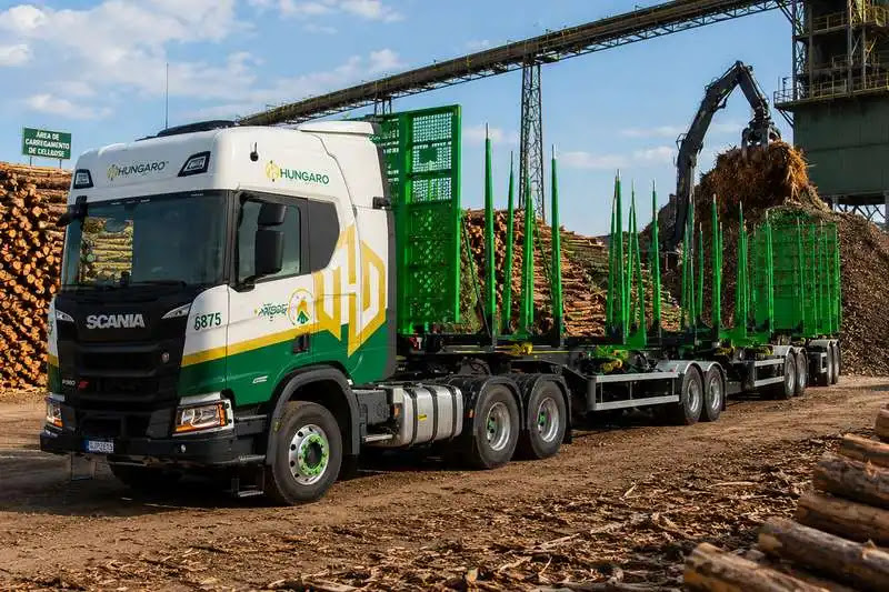 Hungaro Transportes abre 50 vagas para motoristas em operação florestal no Mato Grosso do Sul