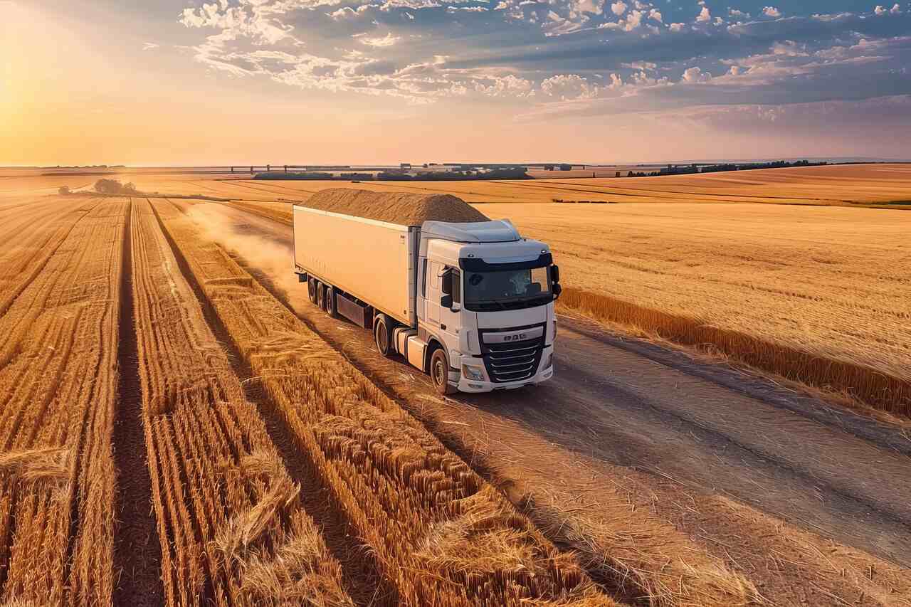 Expansão do agronegócio impulsiona o transporte de cargas e desafia infraestrutura nacional