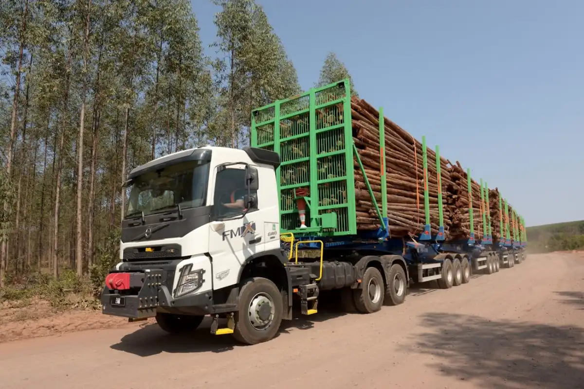 Suzano inaugura primeiro Centro de Distribuição de Bens de Consumo no Sul amplia presença logística no Brasil